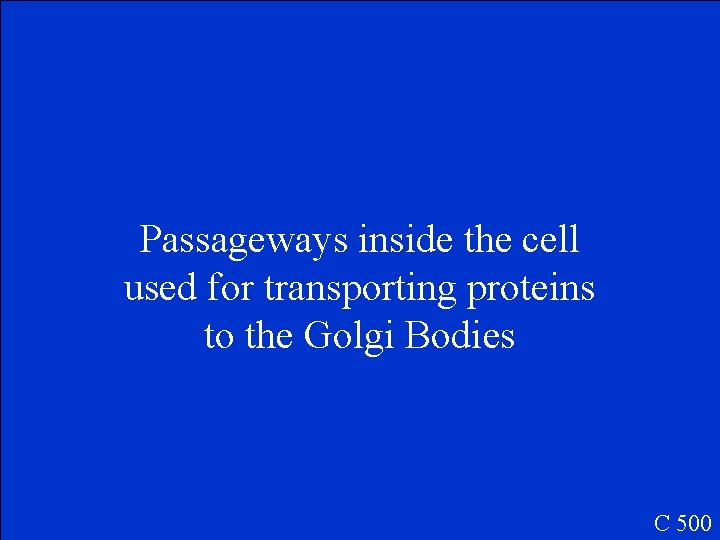 Passageways inside the cell used for transporting proteins to the Golgi Bodies C 500