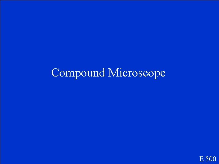 Compound Microscope E 500 