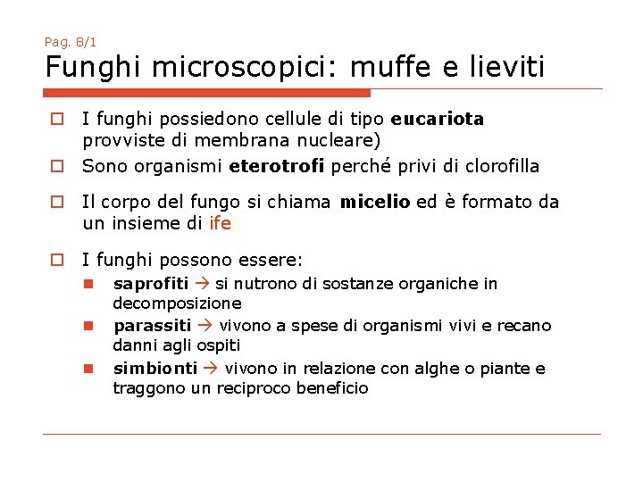 Pag. 8/1 Funghi microscopici: muffe e lieviti o I funghi possiedono cellule di tipo