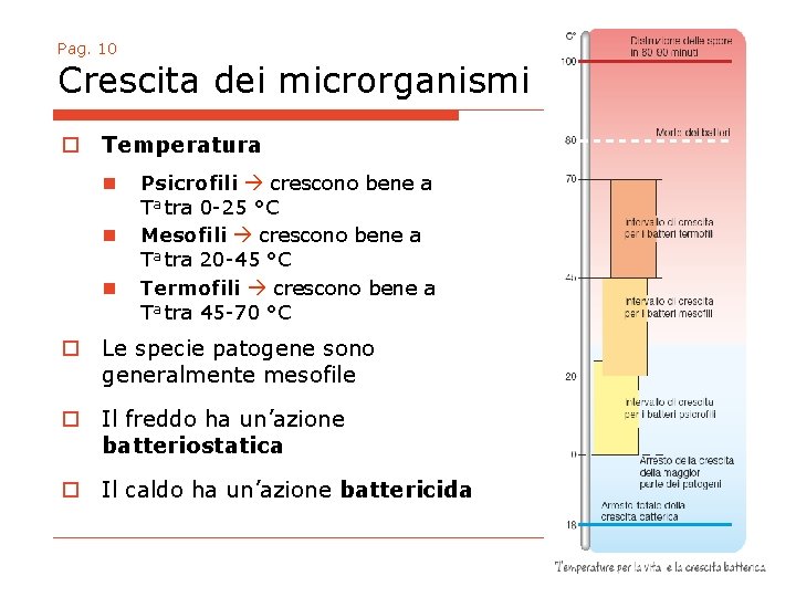 Pag. 10 Crescita dei microrganismi o Temperatura n n n Psicrofili crescono bene a