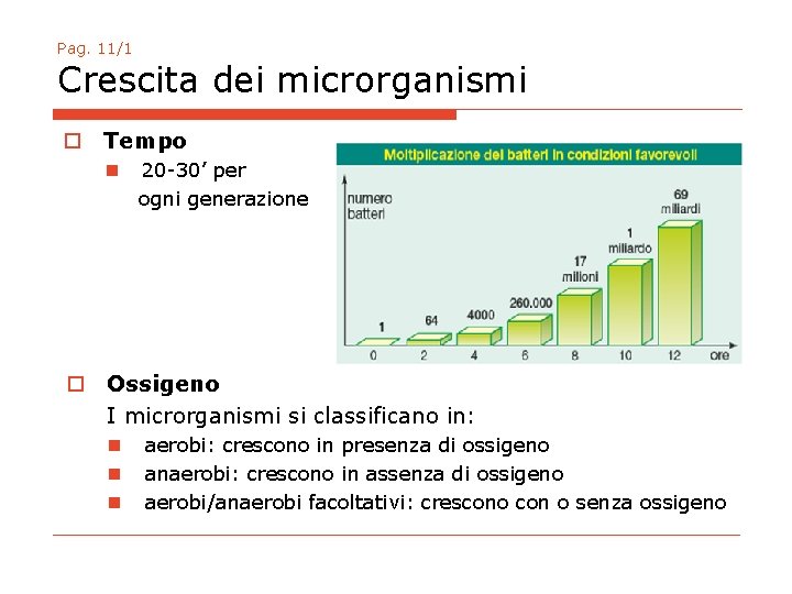 Pag. 11/1 Crescita dei microrganismi o Tempo n 20 -30’ per ogni generazione o