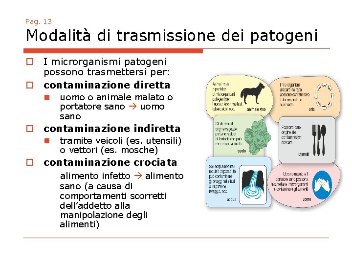 Pag. 13 Modalità di trasmissione dei patogeni o I microrganismi patogeni possono trasmettersi per: