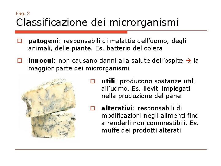 Pag. 3 Classificazione dei microrganismi o patogeni: responsabili di malattie dell’uomo, degli animali, delle