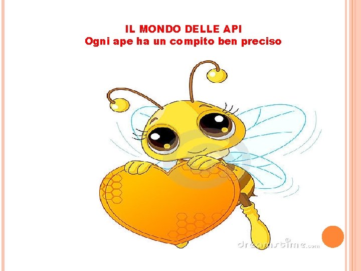 IL MONDO DELLE API Ogni ape ha un compito ben preciso IL MONDO DELLE API Ogni ape ha un compito ben preciso