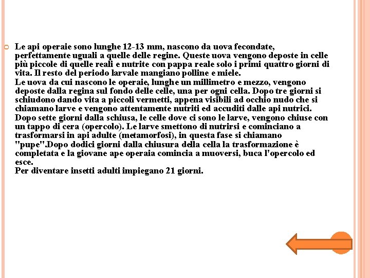 Le api operaie sono lunghe 12 -13 mm, nascono da uova fecondate, perfettamente Le api operaie sono lunghe 12 -13 mm, nascono da uova fecondate, perfettamente