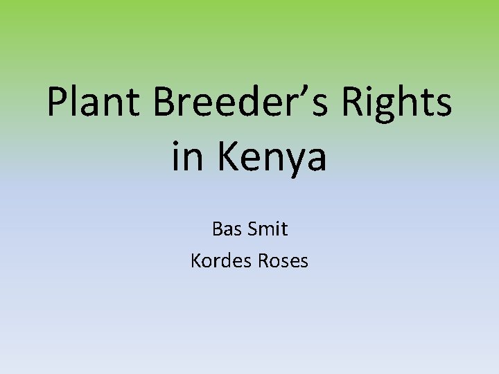 Plant Breeder’s Rights in Kenya Bas Smit Kordes Roses 