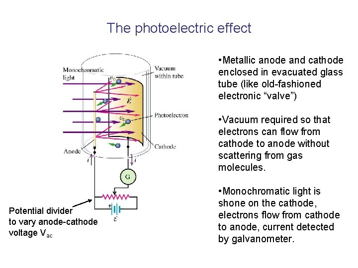 The photoelectric effect • Metallic anode and cathode enclosed in evacuated glass tube (like