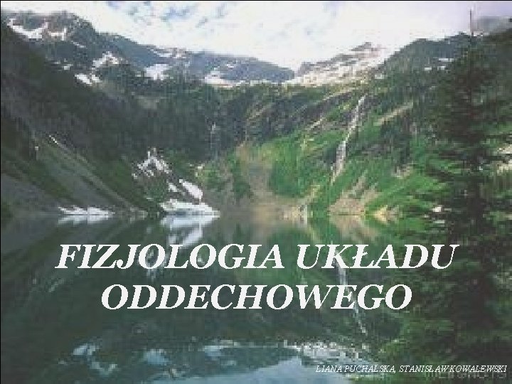 FIZJOLOGIA UKŁADU ODDECHOWEGO LIANA PUCHALSKA, STANISŁAW KOWALEWSKI 