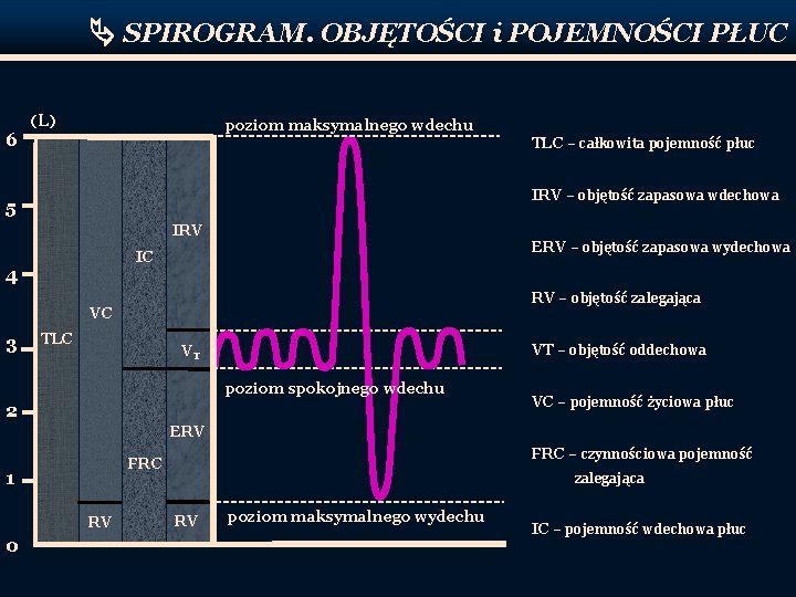  SPIROGRAM. OBJĘTOŚCI i POJEMNOŚCI PŁUC 6 (L) poziom maksymalnego wdechu TLC – całkowita