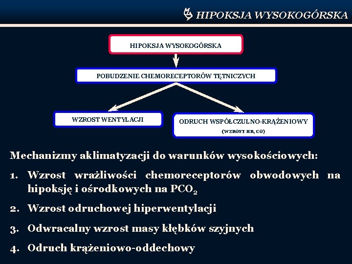  HIPOKSJA WYSOKOGÓRSKA POBUDZENIE CHEMORECEPTORÓW TĘTNICZYCH WZROST WENTYLACJI ODRUCH WSPÓŁCZULNO-KRĄŻENIOWY (WZROST HR, CO) Mechanizmy