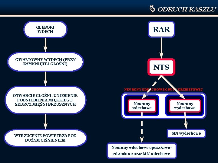  ODRUCH KASZLU RAR GŁĘBOKI WDECH GWAŁTOWNY WYDECH (PRZY ZAMKNIĘTEJ GŁOŚNI) NTS NEURONY ODDECHOWE