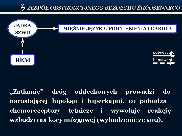  ZESPÓŁ OBSTRUKCYJNEGO BEZDECHU ŚRÓDSENNEGO JĄDRA MIĘŚNIE JĘZYKA, PODNIEBIENIA I GARDŁA SZWU pobudzenie REM