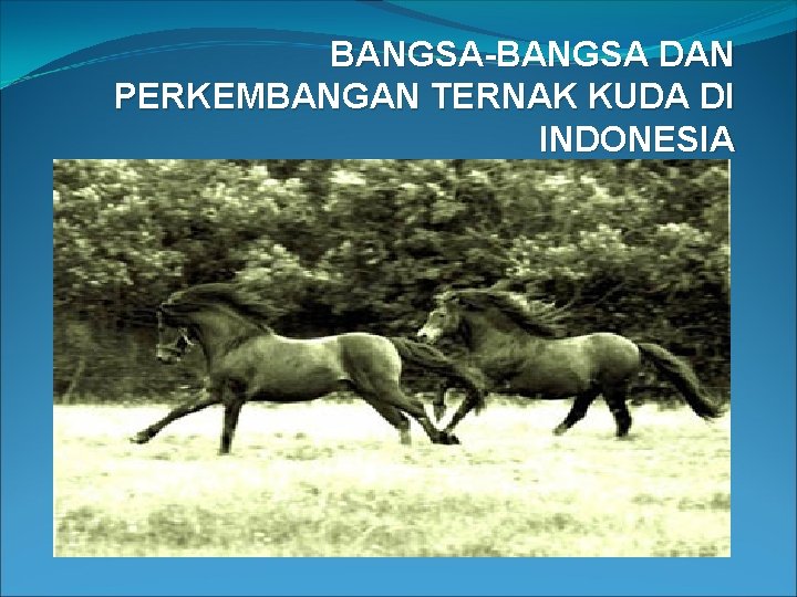 BANGSA-BANGSA DAN PERKEMBANGAN TERNAK KUDA DI INDONESIA 