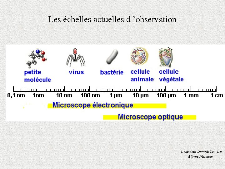 Les échelles actuelles d ’observation d ’après http: //wwwsio 2. be site d'Yves Mairesse