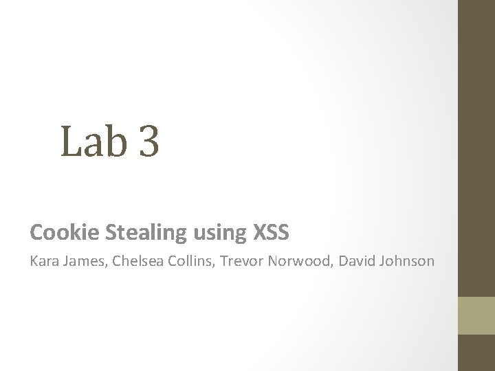 Lab 3 Cookie Stealing using XSS Kara James, Chelsea Collins, Trevor Norwood, David Johnson