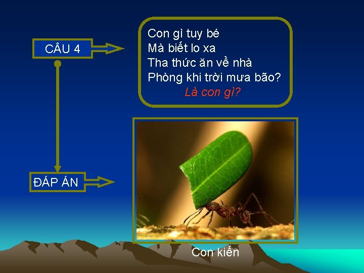 C U 4 Con gì tuy bé Mà biết lo xa Tha thức ăn