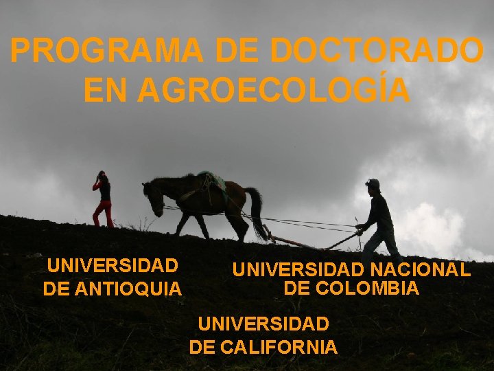 PROGRAMA DE DOCTORADO EN AGROECOLOGÍA UNIVERSIDAD DE ANTIOQUIA UNIVERSIDAD NACIONAL DE COLOMBIA UNIVERSIDAD DE