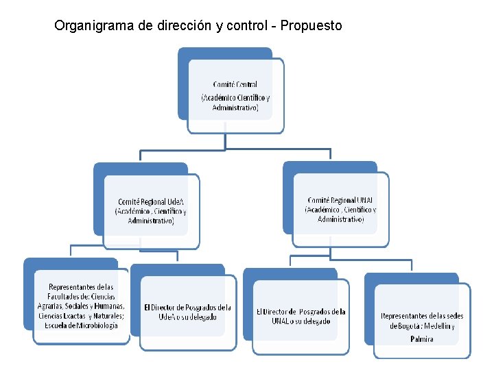 Organigrama de dirección y control - Propuesto 