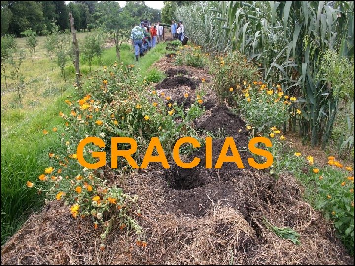 GRACIAS 