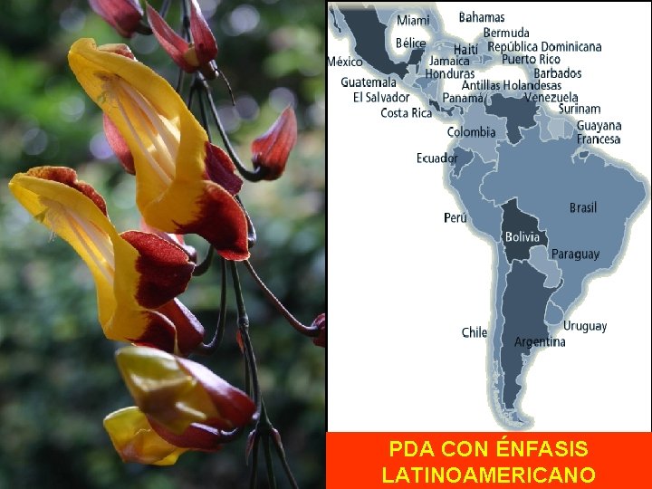 PDA CON ÉNFASIS LATINOAMERICANO 