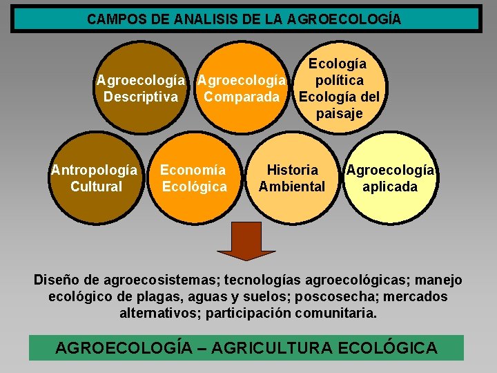 CAMPOS DE ANALISIS DE LA AGROECOLOGÍA Ecología Agroecología política Descriptiva Comparada Ecología del paisaje