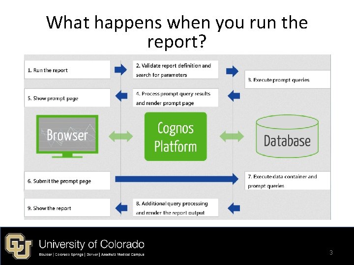 What happens when you run the report? 3 