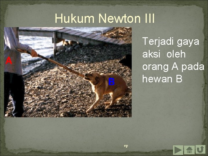 Hukum Newton III Terjadi gaya aksi oleh orang A pada hewan B ep 