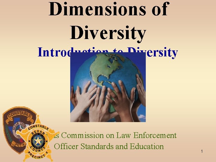 Dimensions of Diversity Introduction to Diversity Texas Commission on Law Enforcement Officer Standards and