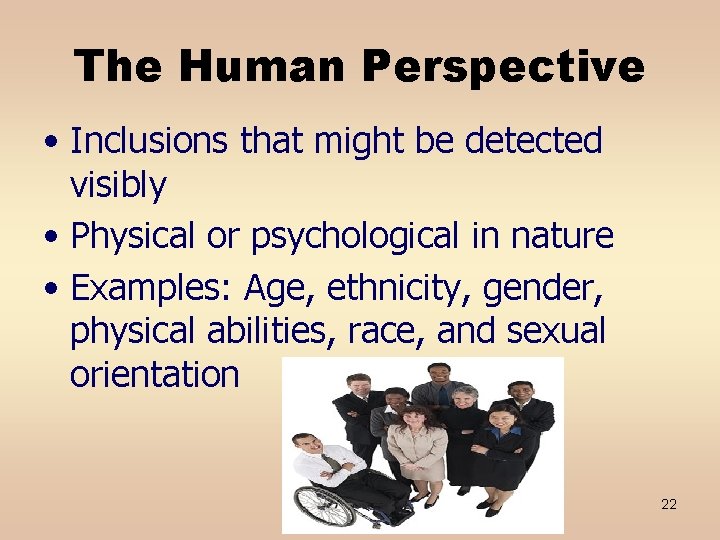 The Human Perspective • Inclusions that might be detected visibly • Physical or psychological