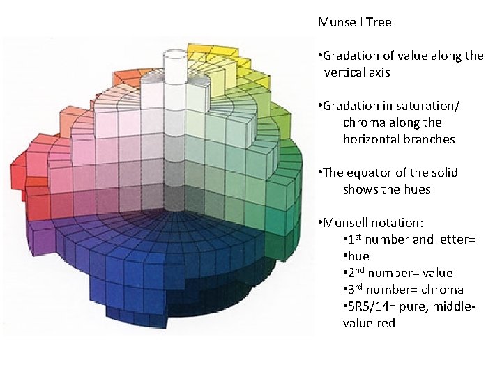 Munsell Tree • Gradation of value along the vertical axis • Gradation in saturation/