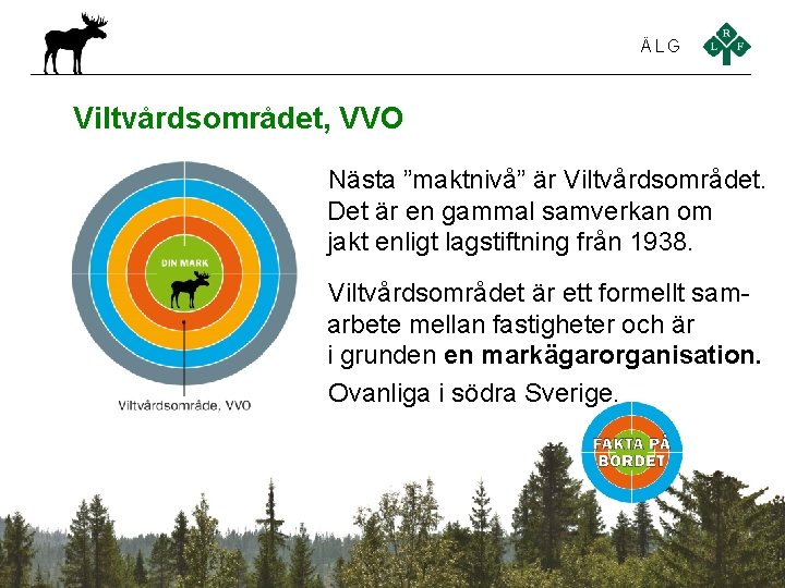 ÄLG Viltvårdsområdet, VVO Nästa ”maktnivå” är Viltvårdsområdet. Det är en gammal samverkan om jakt