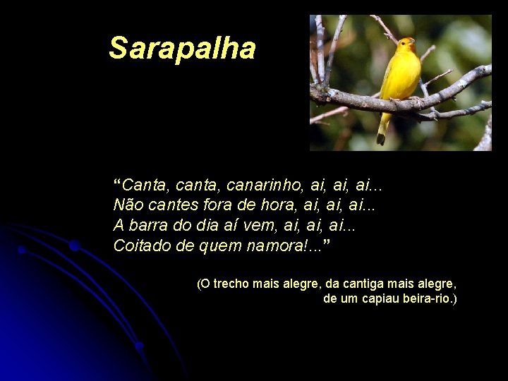 Sarapalha “Canta, canarinho, ai, ai. . . Não cantes fora de hora, ai, ai.