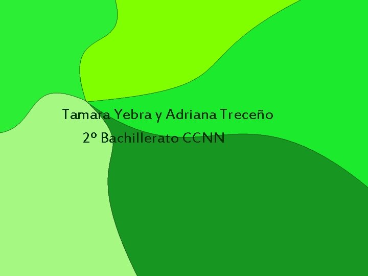Tamara Yebra y Adriana Treceño 2º Bachillerato CCNN 