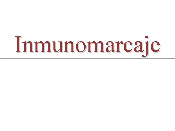 Inmunomarcaje 