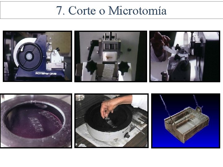 7. Corte o Microtomía 