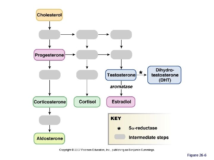 Figure 26 -6 