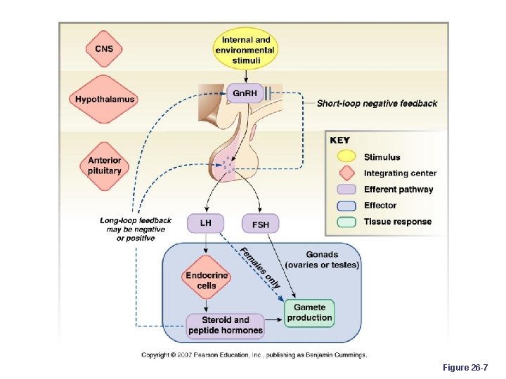 Figure 26 -7 