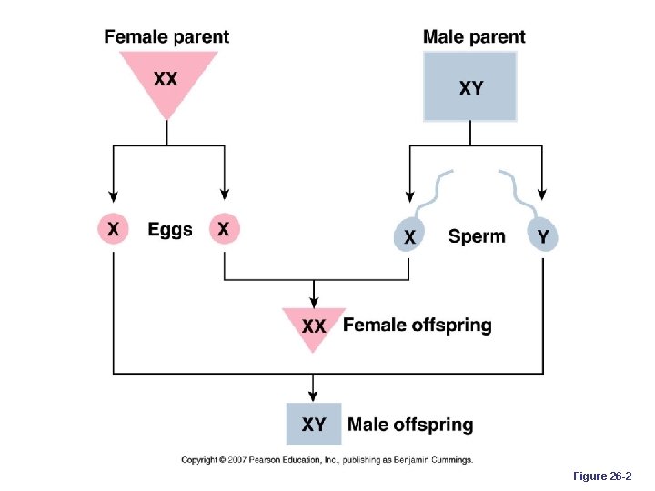 Figure 26 -2 