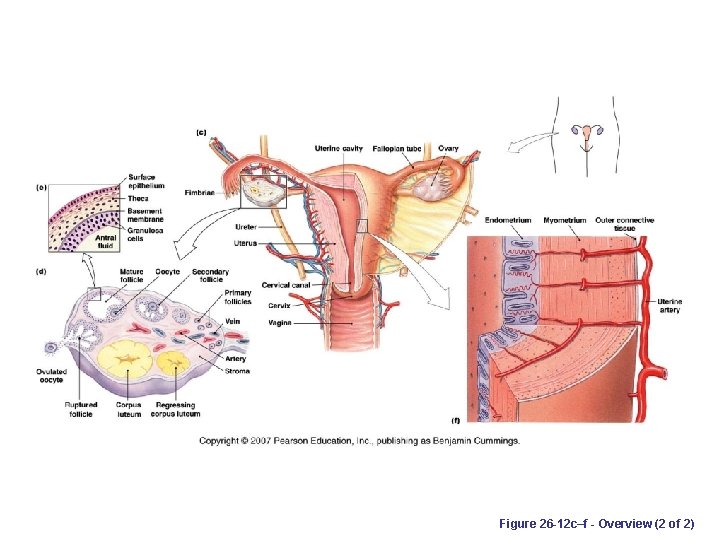 Figure 26 -12 c–f - Overview (2 of 2) 