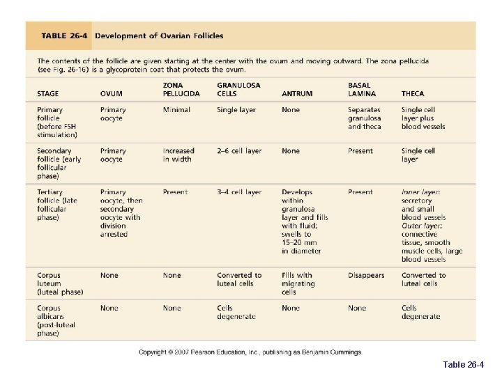 Table 26 -4 