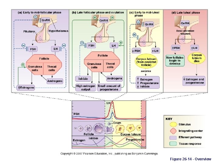 Figure 26 -14 - Overview 