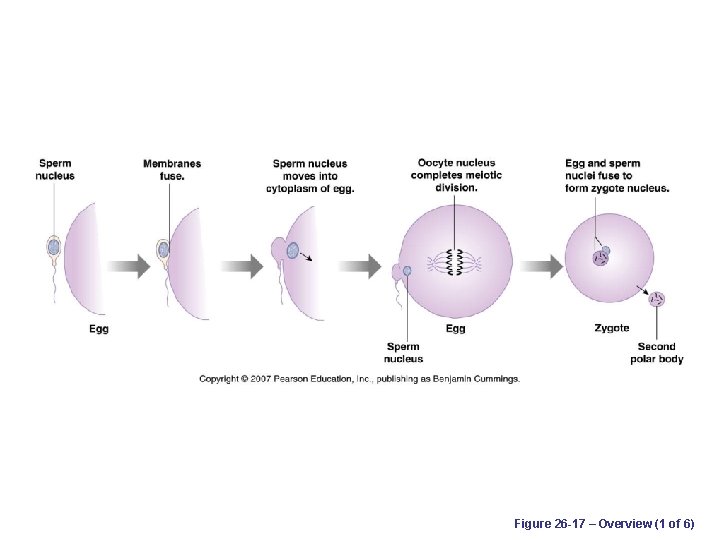 Figure 26 -17 – Overview (1 of 6) 