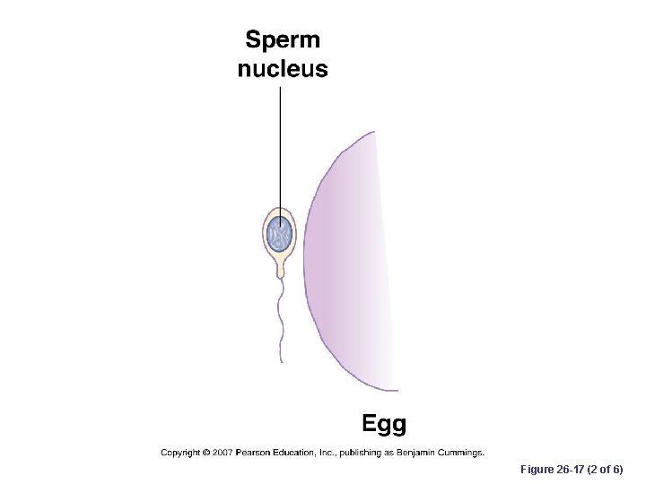 Figure 26 -17 (2 of 6) 