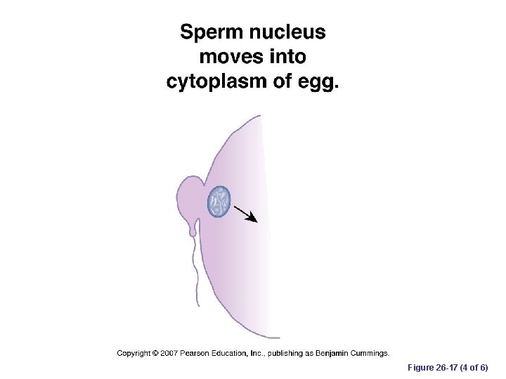 Figure 26 -17 (4 of 6) 