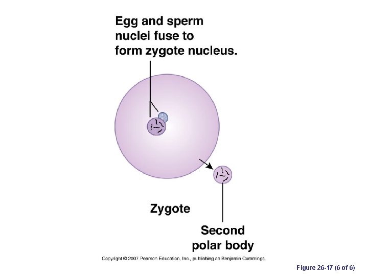 Figure 26 -17 (6 of 6) 