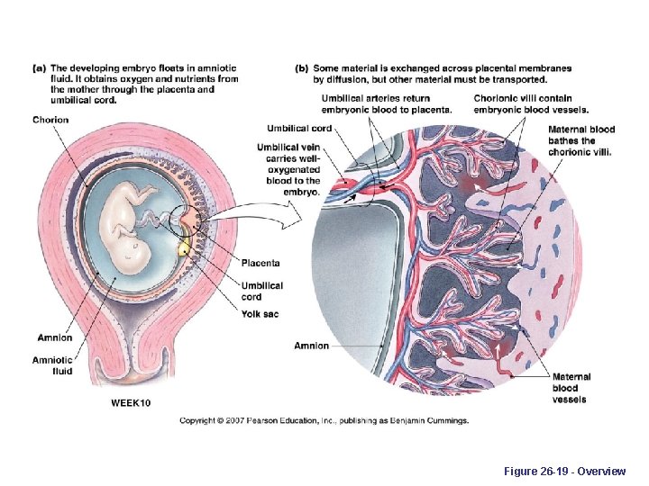 Figure 26 -19 - Overview 