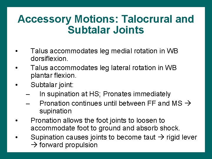 Accessory Motions: Talocrural and Subtalar Joints • • • Talus accommodates leg medial rotation