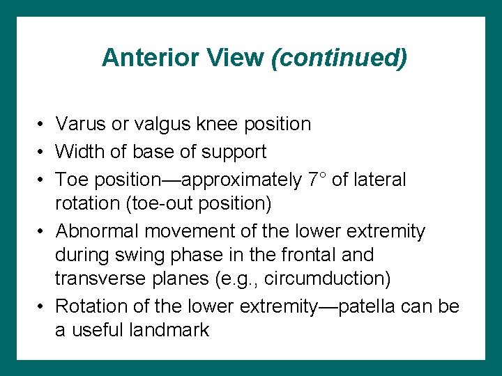 Anterior View (continued) • Varus or valgus knee position • Width of base of