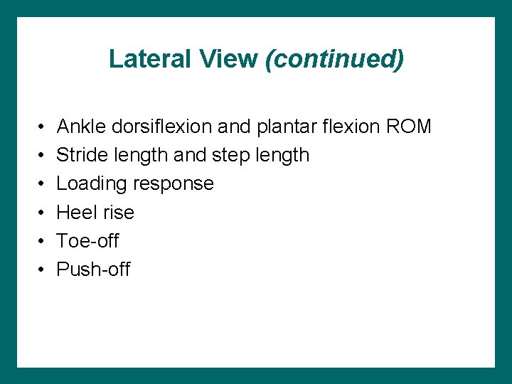 Lateral View (continued) • • • Ankle dorsiflexion and plantar flexion ROM Stride length