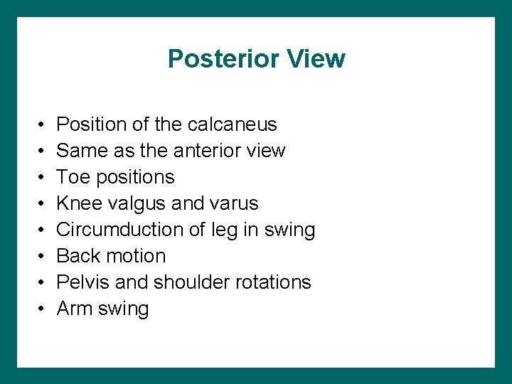 Posterior View • • Position of the calcaneus Same as the anterior view Toe